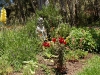 thumbs 6 Esalens 6th Annual Yoga Festival (Photos)