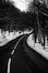 Thumbnail image for The Road to Certification