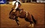 Thumbnail image for Cowboy Up, Arjuna!