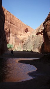 Escalante Canyon Retouched 169x300 Heart Centered Themes and the Evolution of My Practice