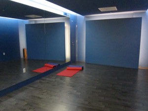 IMG 6151 300x225 SFO Sadhana: Test Driving the Yoga Room in Terminal 2