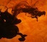 Thumbnail image for KK’s wildMOONwisdom AstroAlignment:  Year of the Water Dragon