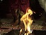 Thumbnail image for Burning the Khandava Forest