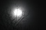 Thumbnail image for The Asana of Emotional Healing: Anusara and the Dark Night of the Soul
