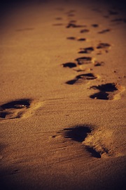 footsteps footsteps John Friends First Workshop post Controversy: A Report from Miami (day 6 8)