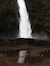 Thumbnail image for Further Reflections on Opening to Grace
